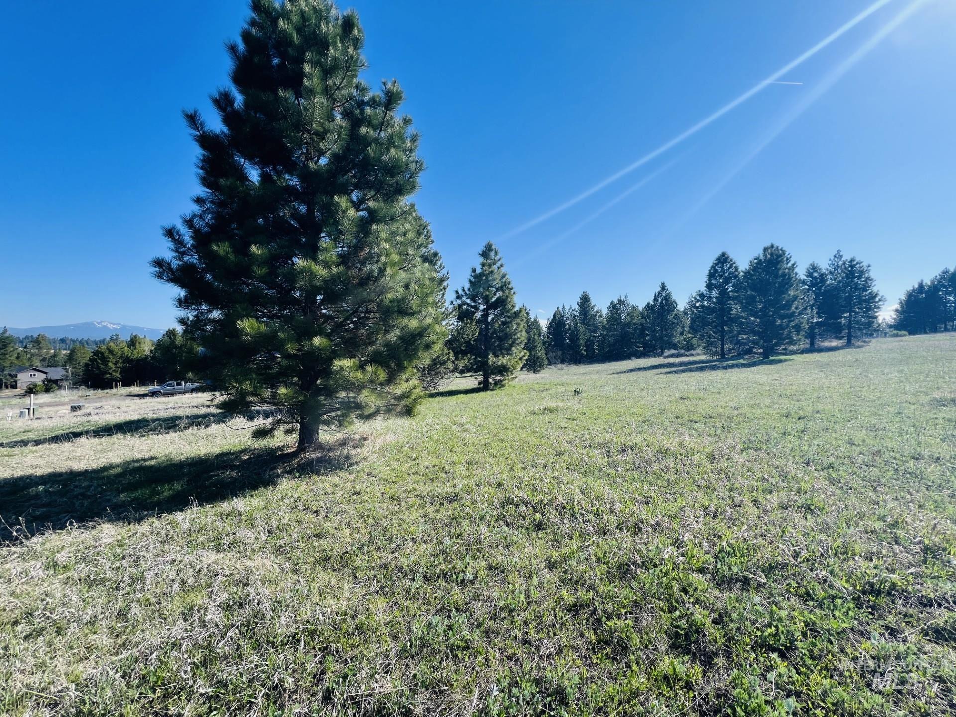 38 Tranquility, McCall, Idaho 83638-0000, Land For Sale, Price $250,000, 98986601