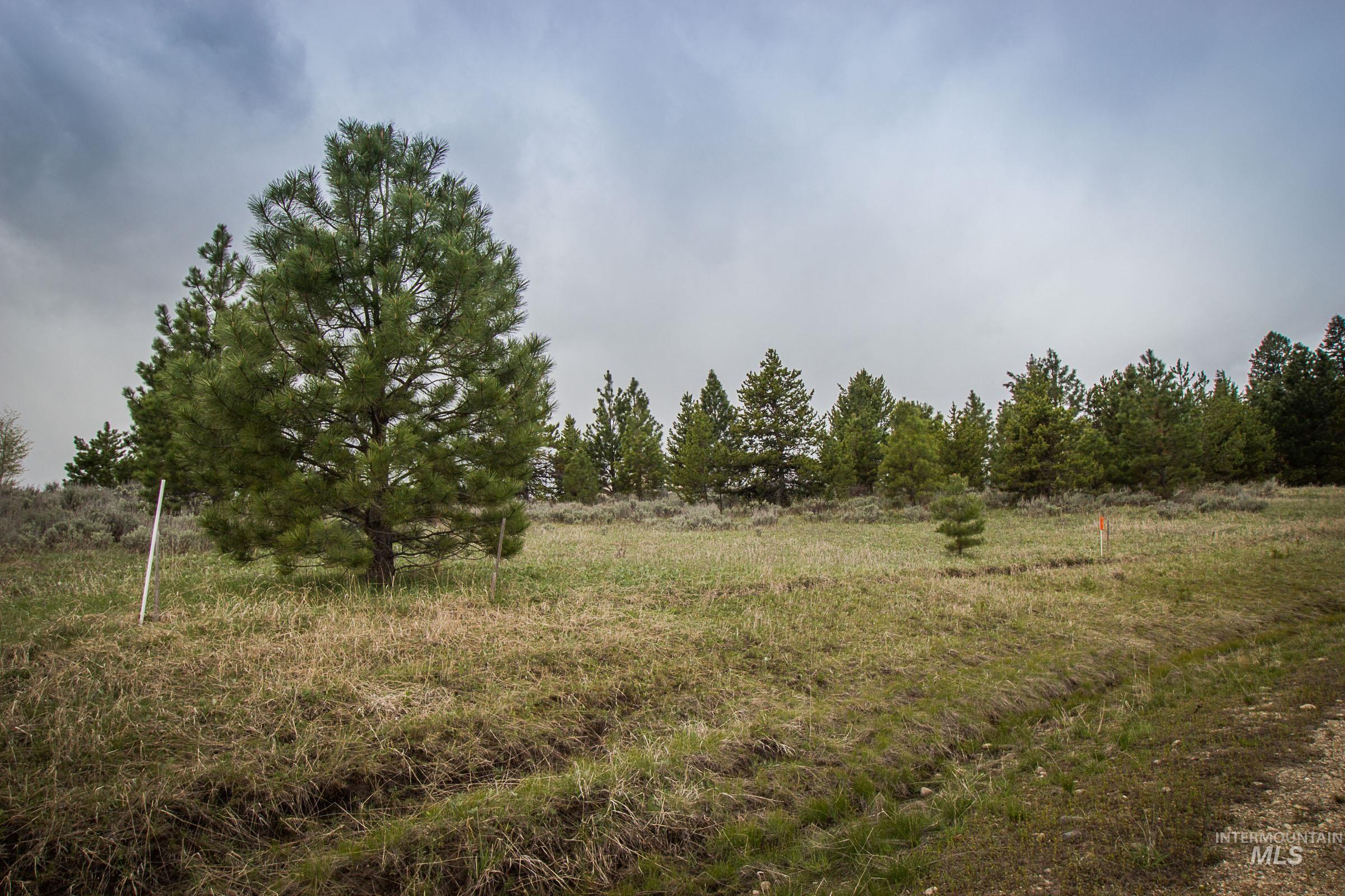 38 Tranquility, McCall, Idaho 83638-0000, Land For Sale, Price $250,000, 98986601