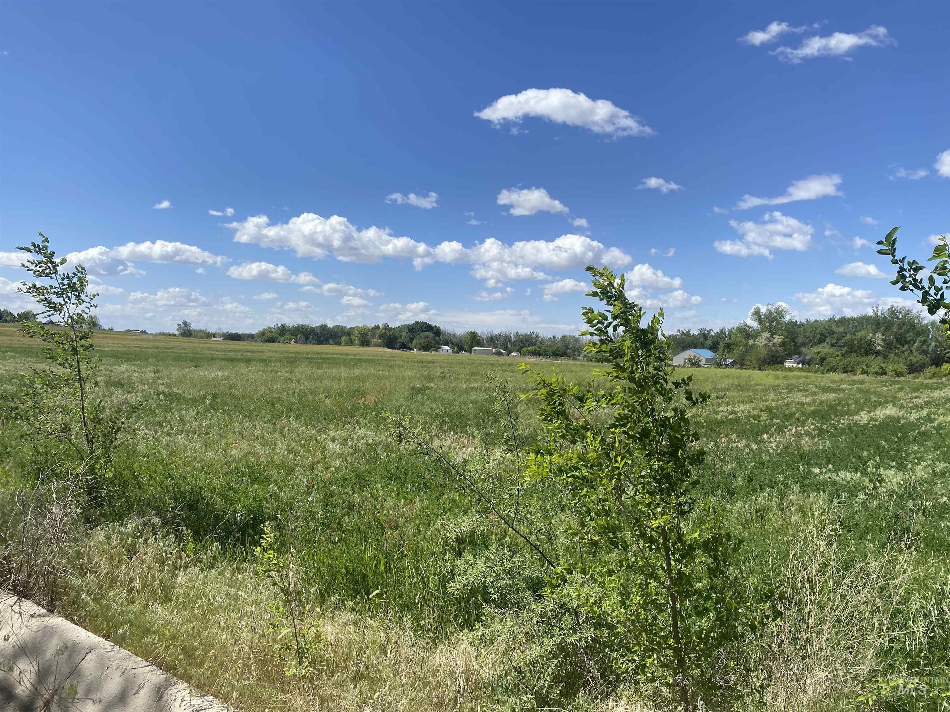 12411 Lake Shore Drive, Nampa, Idaho 83686, 3 Bedrooms, 2 Bathrooms, Residential For Sale, Price $2,800,000,MLS 98986620