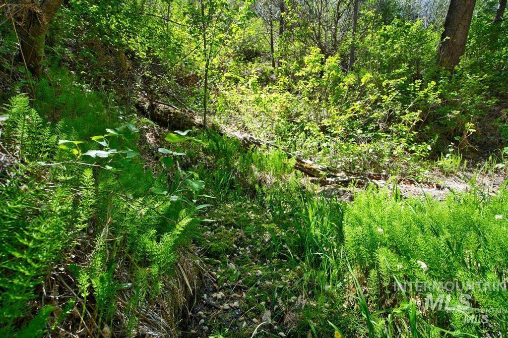 TBD Forest service rd 542, Lowman, Idaho 83637, Land For Sale, Price $20,000, 98986626