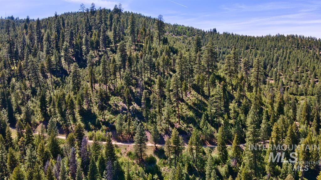TBD Forest service rd 542, Lowman, Idaho 83637, Land For Sale, Price $20,000, 98986626