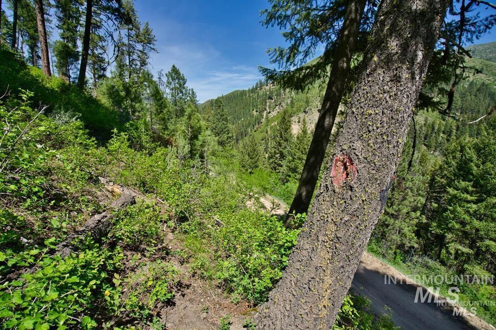 tbd Forest Service rd 542, Lowman, Idaho 83637, Land For Sale, Price $20,000, 98986627