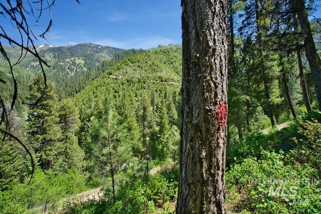 tbd Forest Service rd 542, Lowman, Idaho 83637, Land For Sale, Price $20,000, 98986627