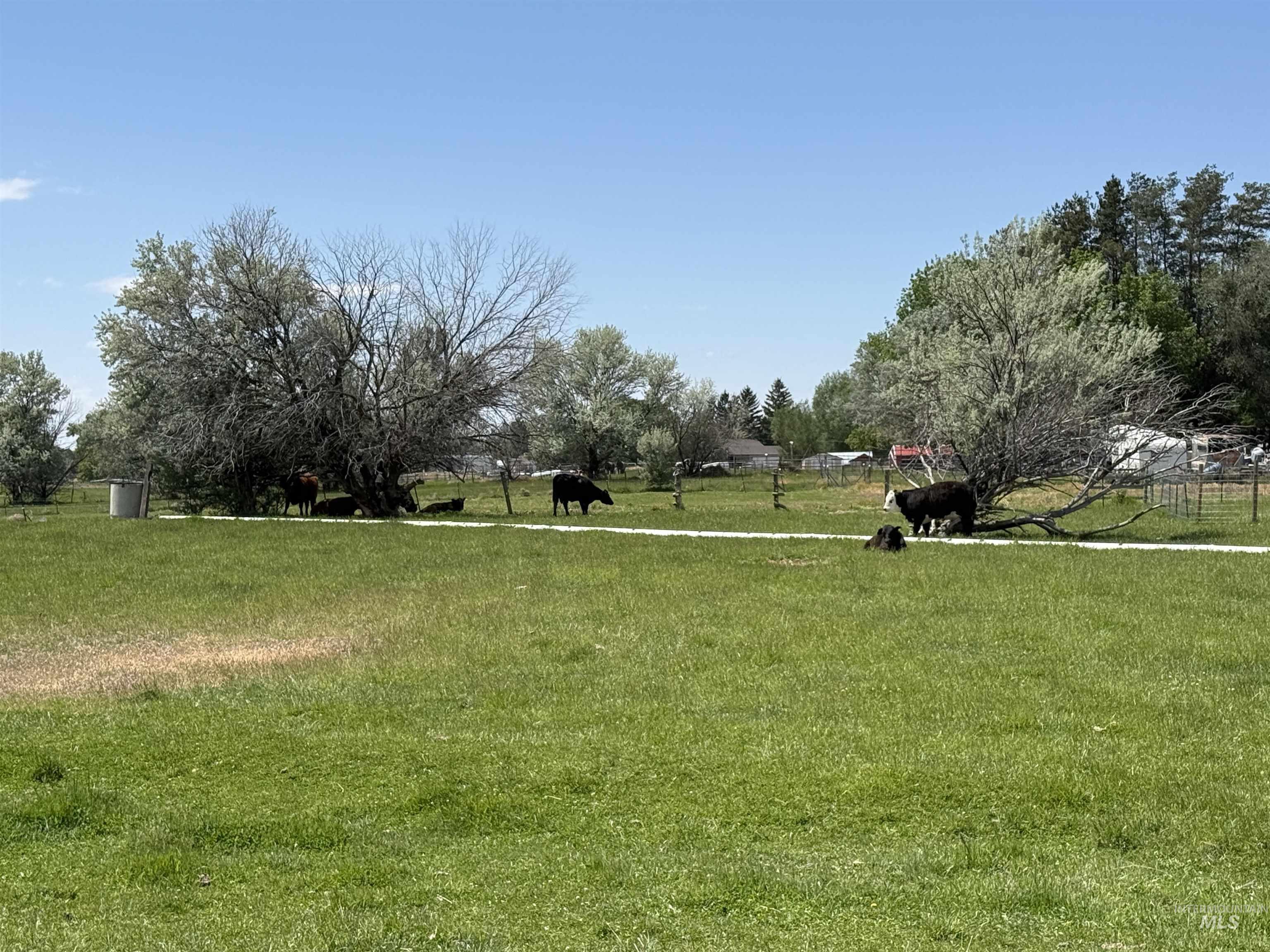 1617 9th Ave E, Gooding, Idaho 83330, 5 Bedrooms, 2 Bathrooms, Residential For Sale, Price $535,000,MLS 98986662