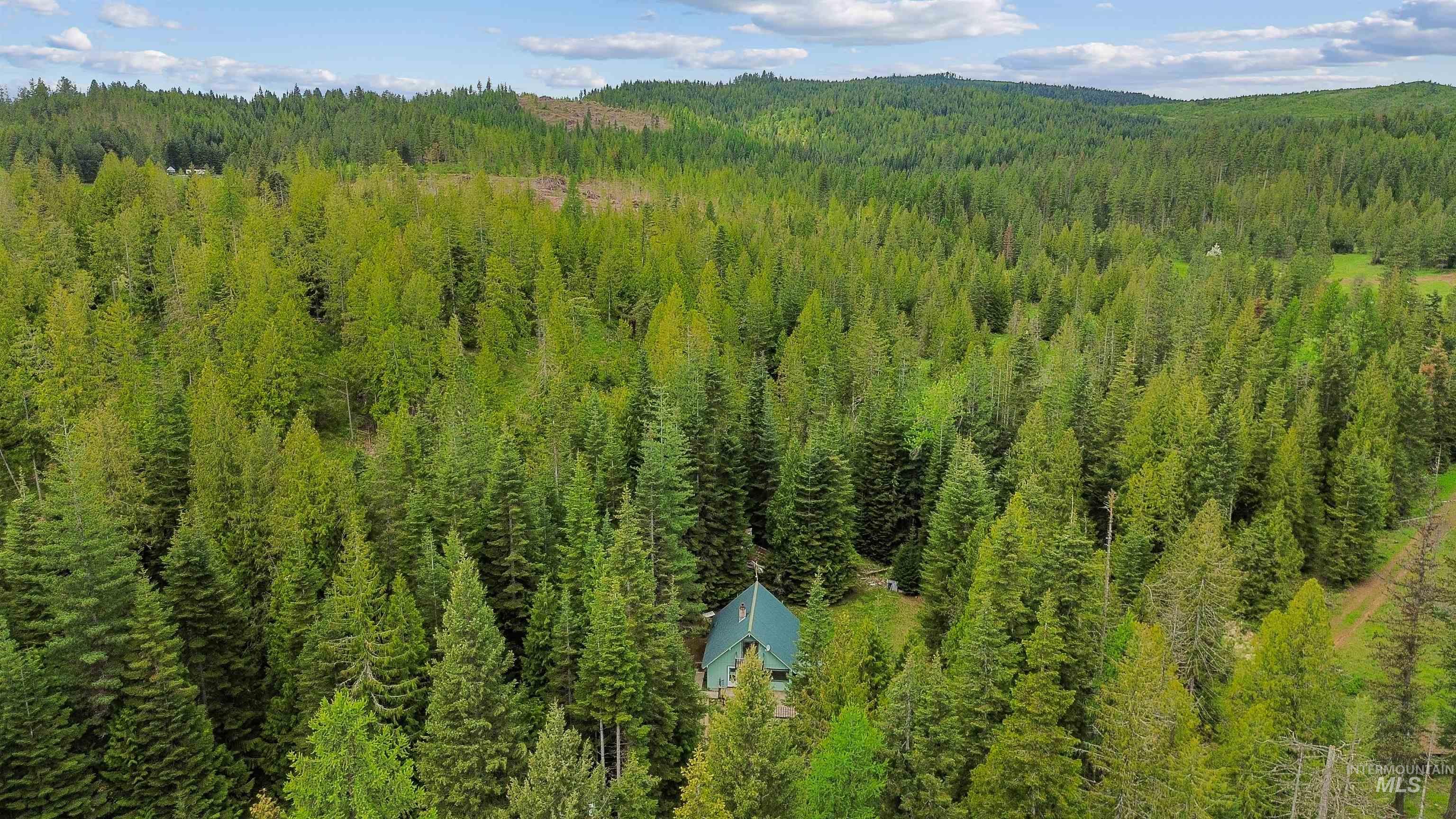 4715 Freeman Creek Rd, Lenore, Idaho 83541, 3 Bedrooms, 1 Bathroom, Residential For Sale, Price $350,000, 98986668