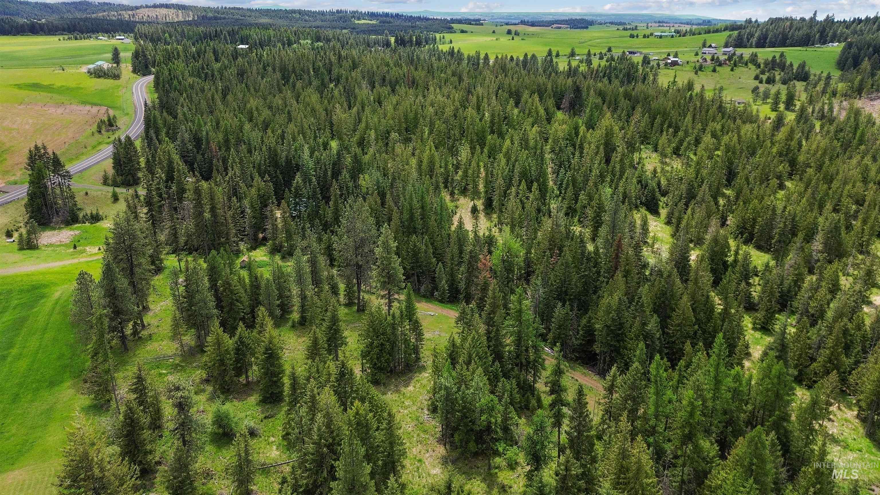 4715 Freeman Creek Rd, Lenore, Idaho 83541, 3 Bedrooms, 1 Bathroom, Residential For Sale, Price $350,000, 98986668