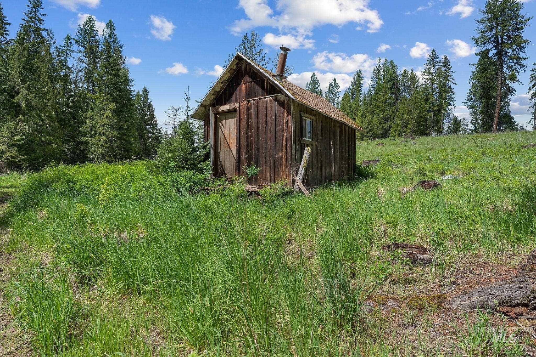 4715 Freeman Creek Rd, Lenore, Idaho 83541, 3 Bedrooms, 1 Bathroom, Residential For Sale, Price $350,000, 98986668