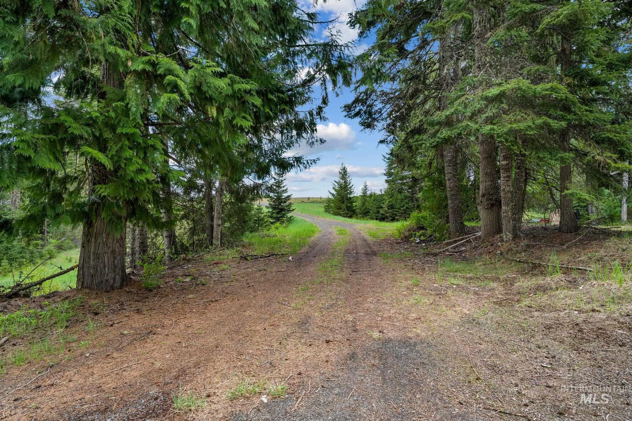 4715 Freeman Creek Rd, Lenore, Idaho 83541, 3 Bedrooms, 1 Bathroom, Residential For Sale, Price $350,000, 98986668