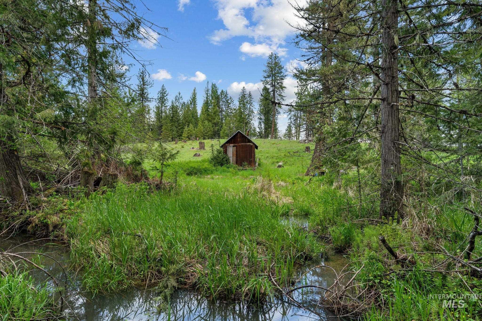 4715 Freeman Creek Rd, Lenore, Idaho 83541, 3 Bedrooms, 1 Bathroom, Residential For Sale, Price $350,000, 98986668