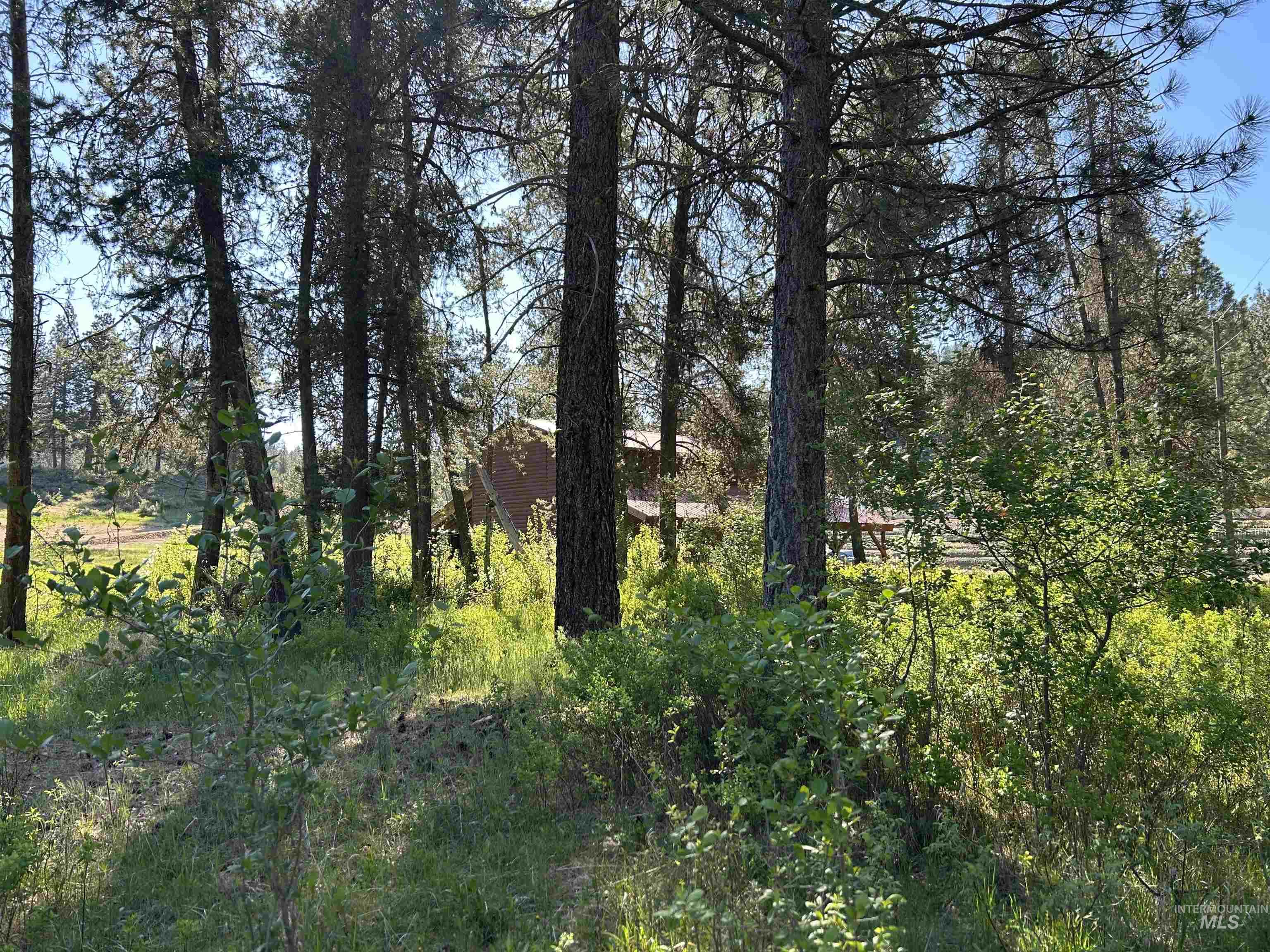 TBD North Shore Subdivision, Lowman, Idaho 83637, Land For Sale, Price $1,000,000, 98986669