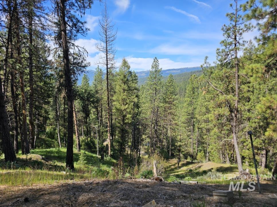 17 Thunder Rd, Garden Valley, Idaho 83622-0000, Land For Sale, Price $400,000, 98986703
