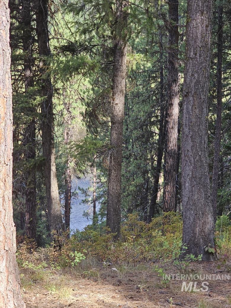 17 Thunder Rd, Garden Valley, Idaho 83622-0000, Land For Sale, Price $400,000, 98986703