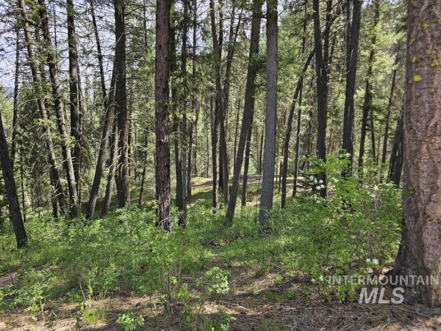 17 Thunder Rd, Garden Valley, Idaho 83622-0000, Land For Sale, Price $400,000, 98986703