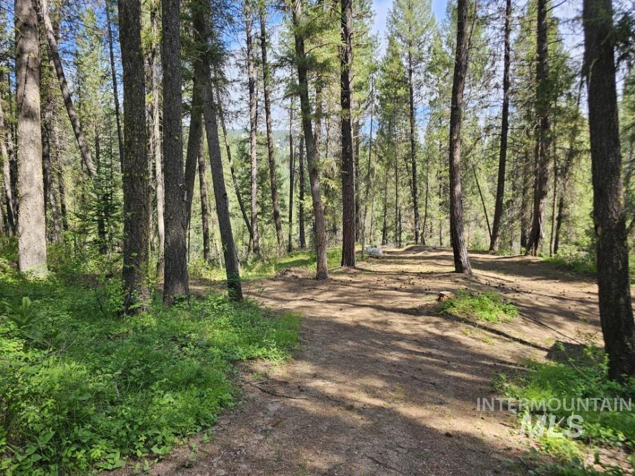 17 Thunder Rd, Garden Valley, Idaho 83622-0000, Land For Sale, Price $400,000, 98986703