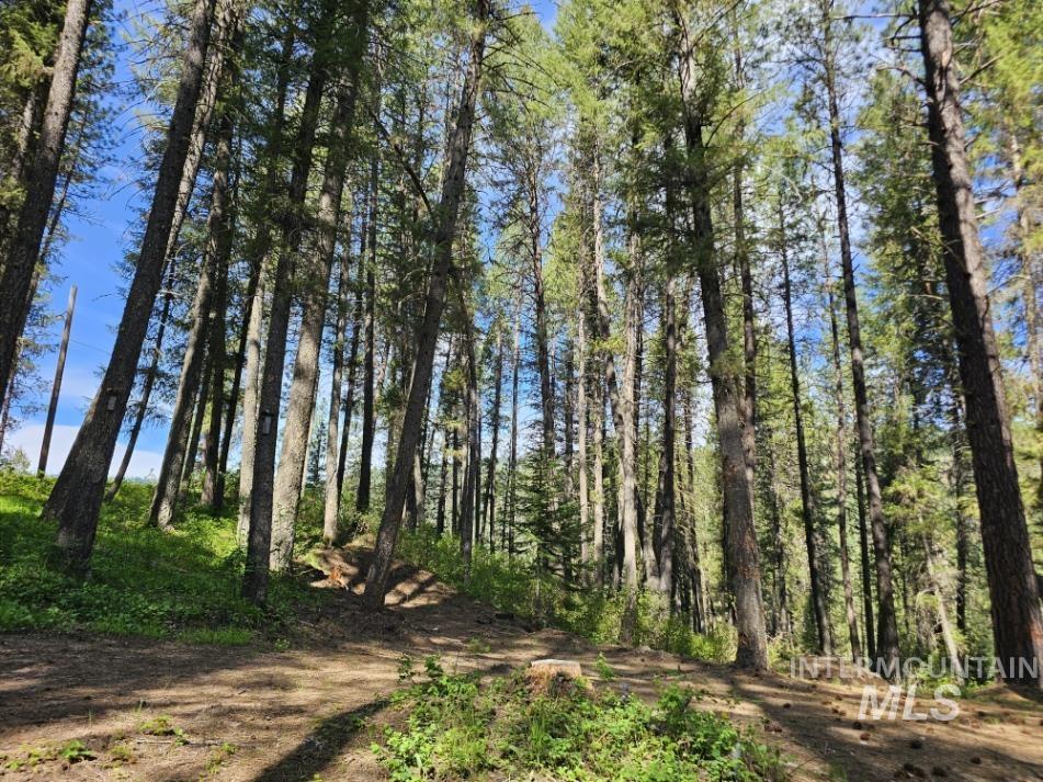 17 Thunder Rd, Garden Valley, Idaho 83622-0000, Land For Sale, Price $400,000, 98986703