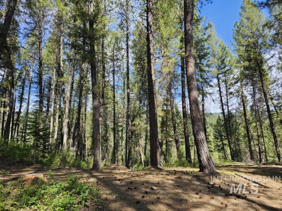 17 Thunder Rd, Garden Valley, Idaho 83622-0000, Land For Sale, Price $400,000, 98986703
