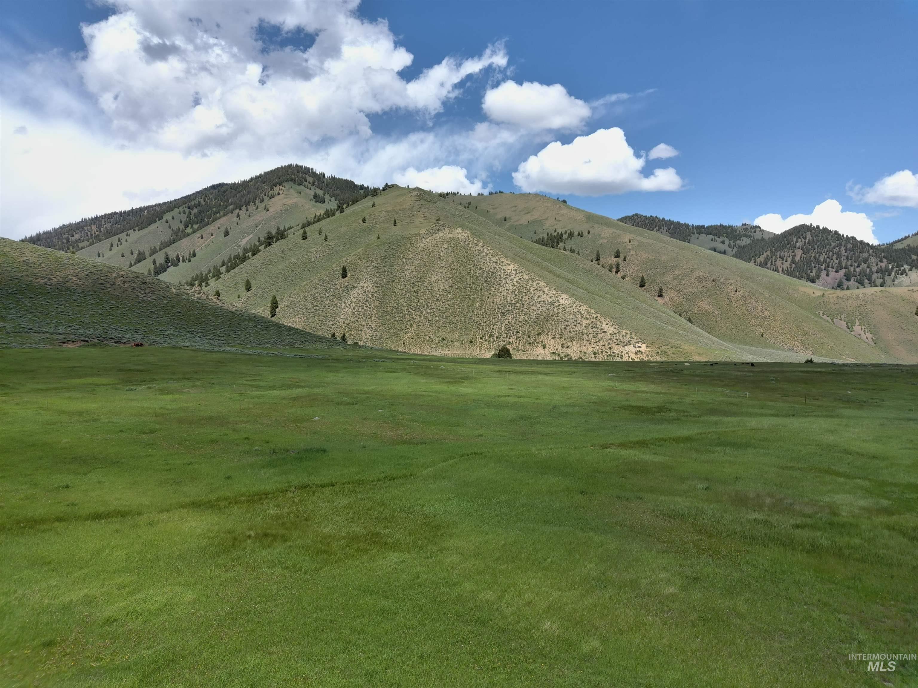 Parcel A Aspen Gulch, Stanley, Idaho 83278, Land For Sale, Price $495,000, 98986753