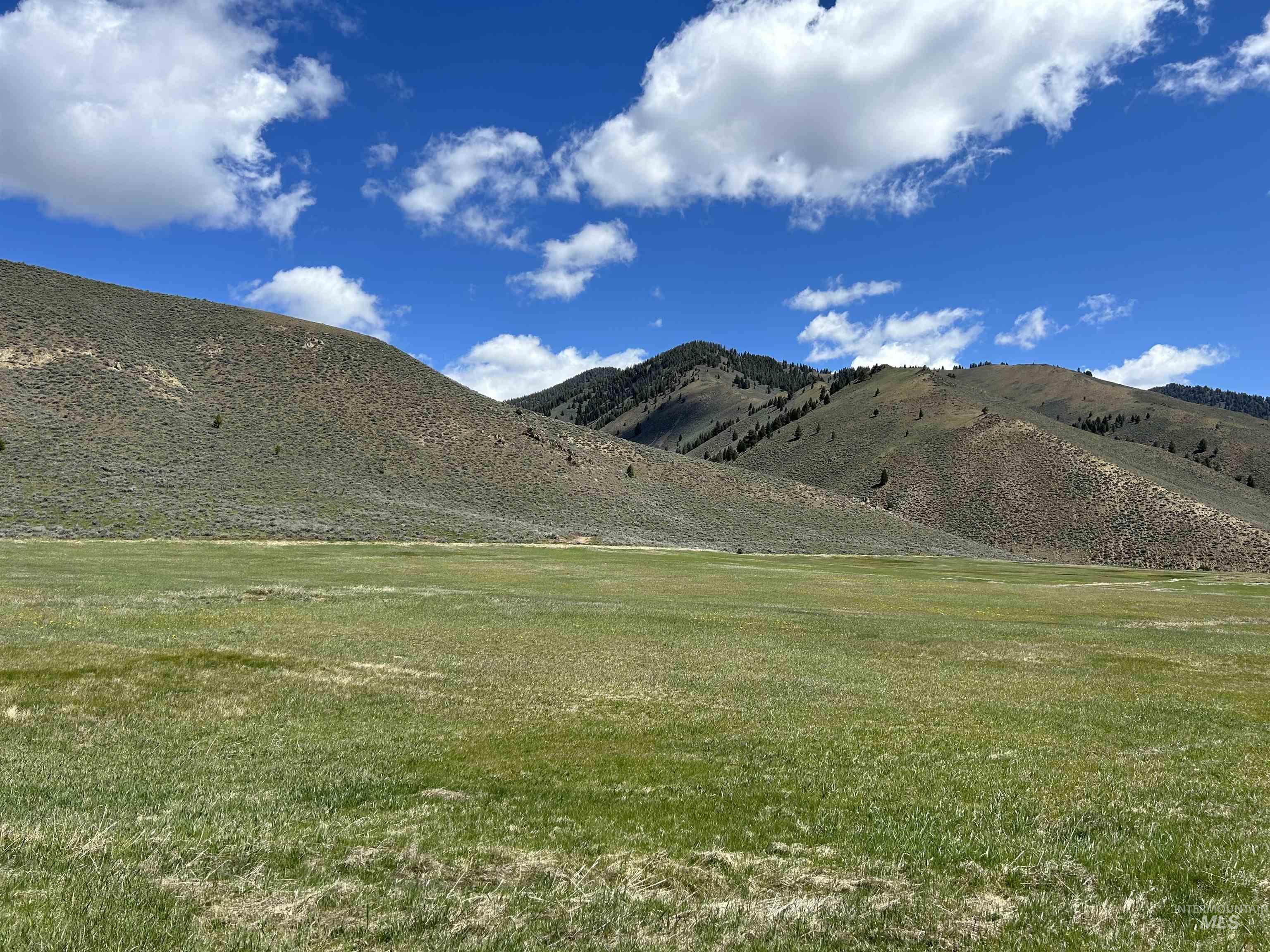 Parcel A Aspen Gulch, Stanley, Idaho 83278, Land For Sale, Price $495,000, 98986753