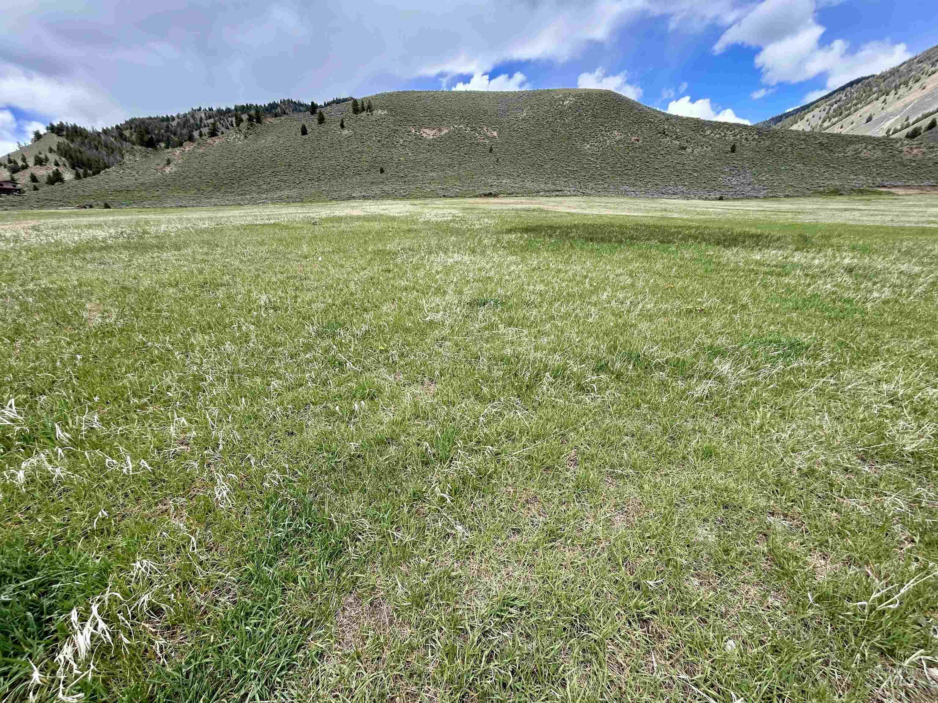 Parcel A Aspen Gulch, Stanley, Idaho 83278, Land For Sale, Price $495,000, 98986753
