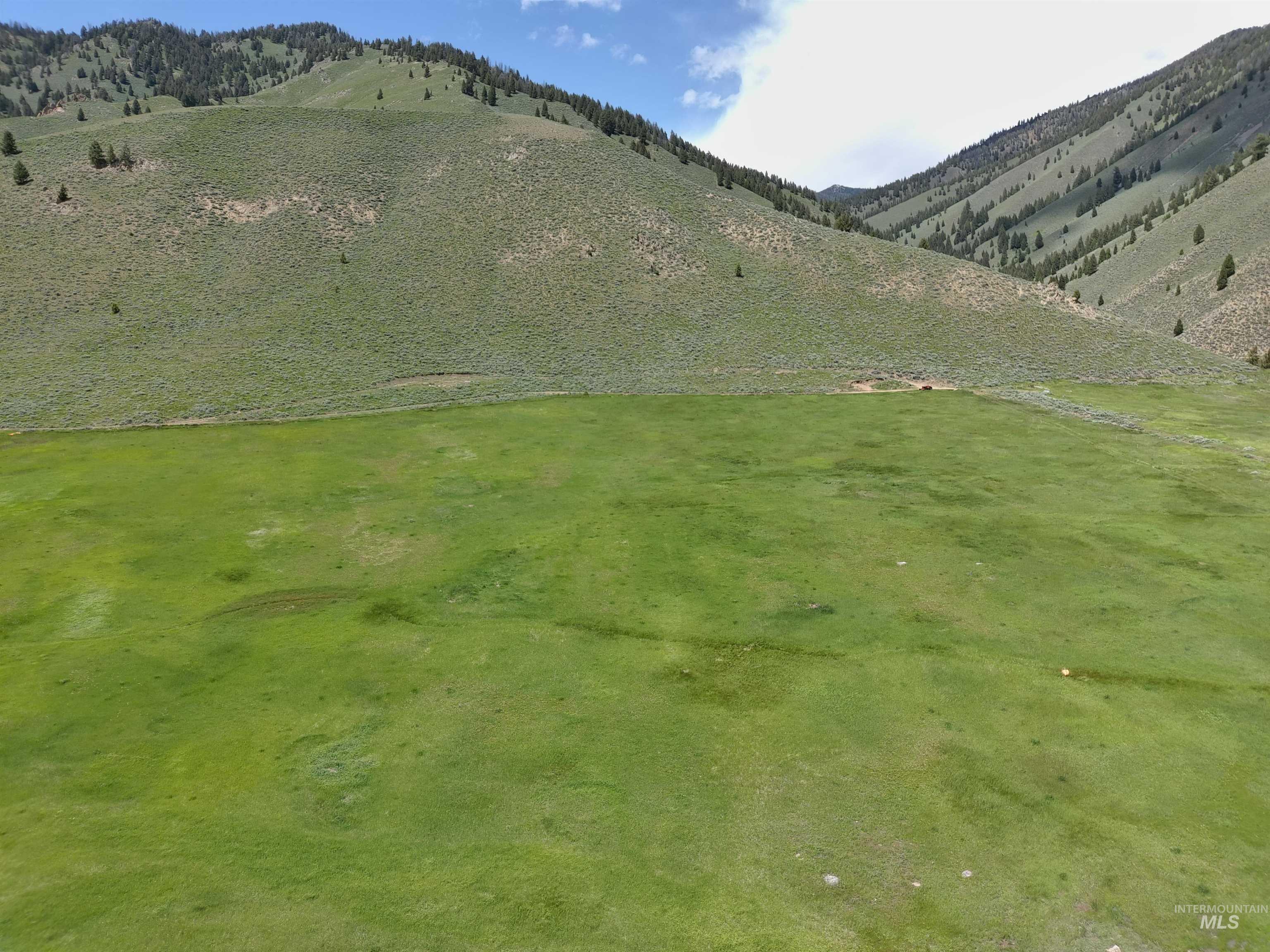 Parcel A Aspen Gulch, Stanley, Idaho 83278, Land For Sale, Price $495,000, 98986753