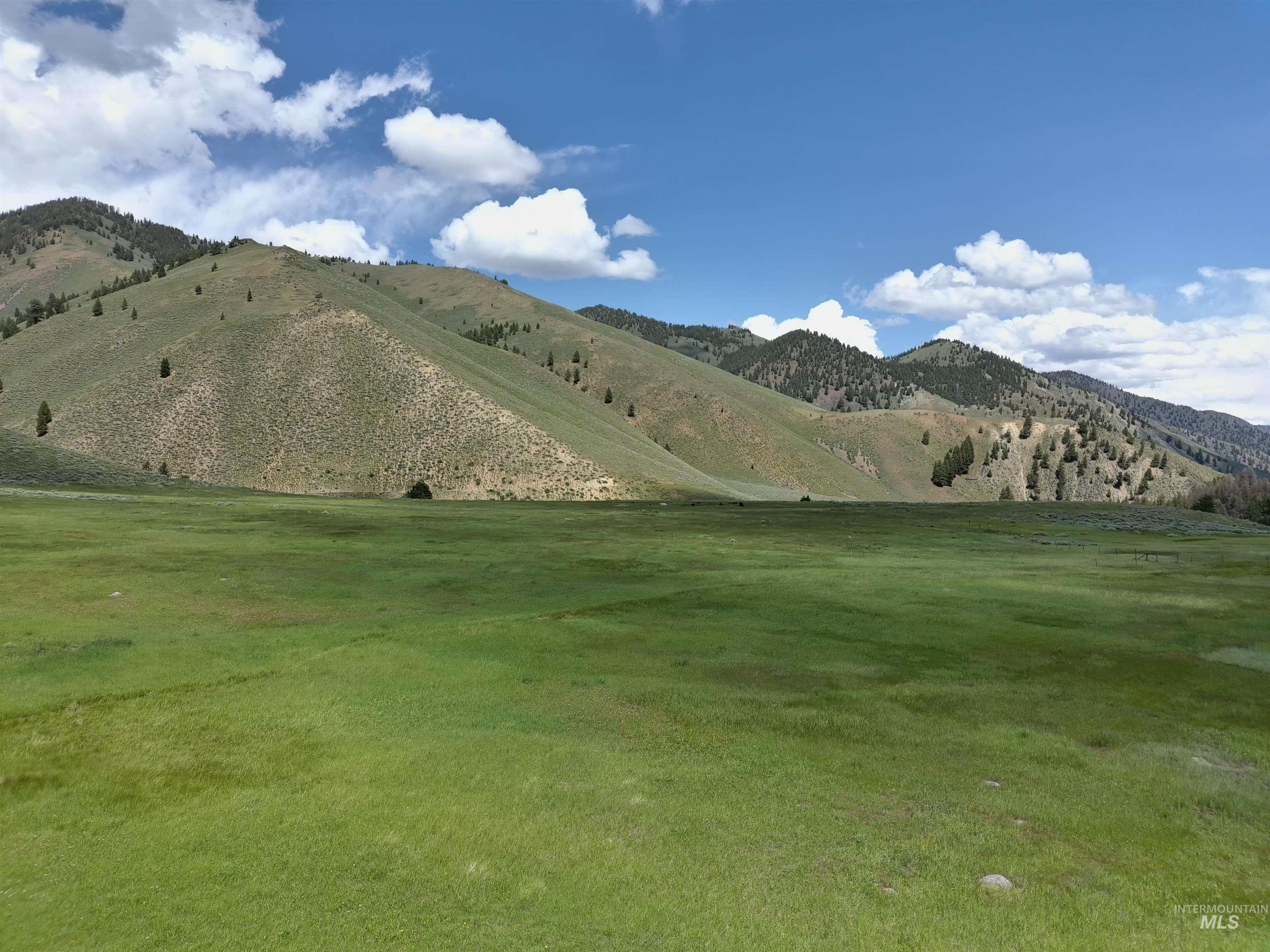 Parcel A Aspen Gulch, Stanley, Idaho 83278, Land For Sale, Price $495,000, 98986753