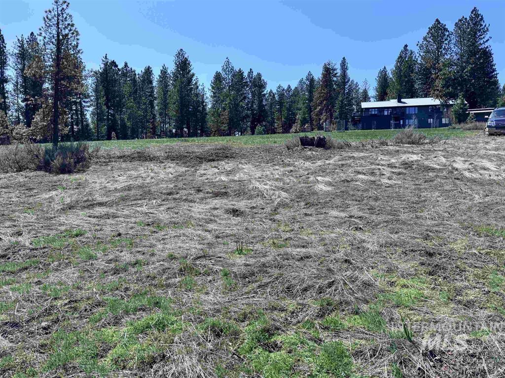 Lot 19 Hot Springs RD, New Meadows, Idaho 83654, Land For Sale, Price $68,700, 98986763