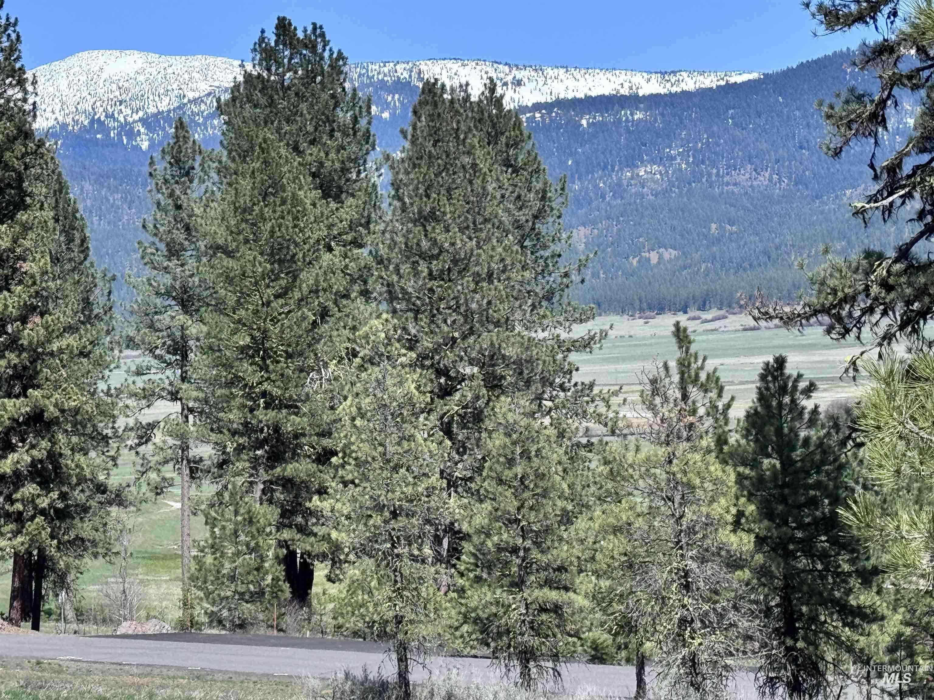 Lot 19 Hot Springs RD, New Meadows, Idaho 83654, Land For Sale, Price $68,700, 98986763