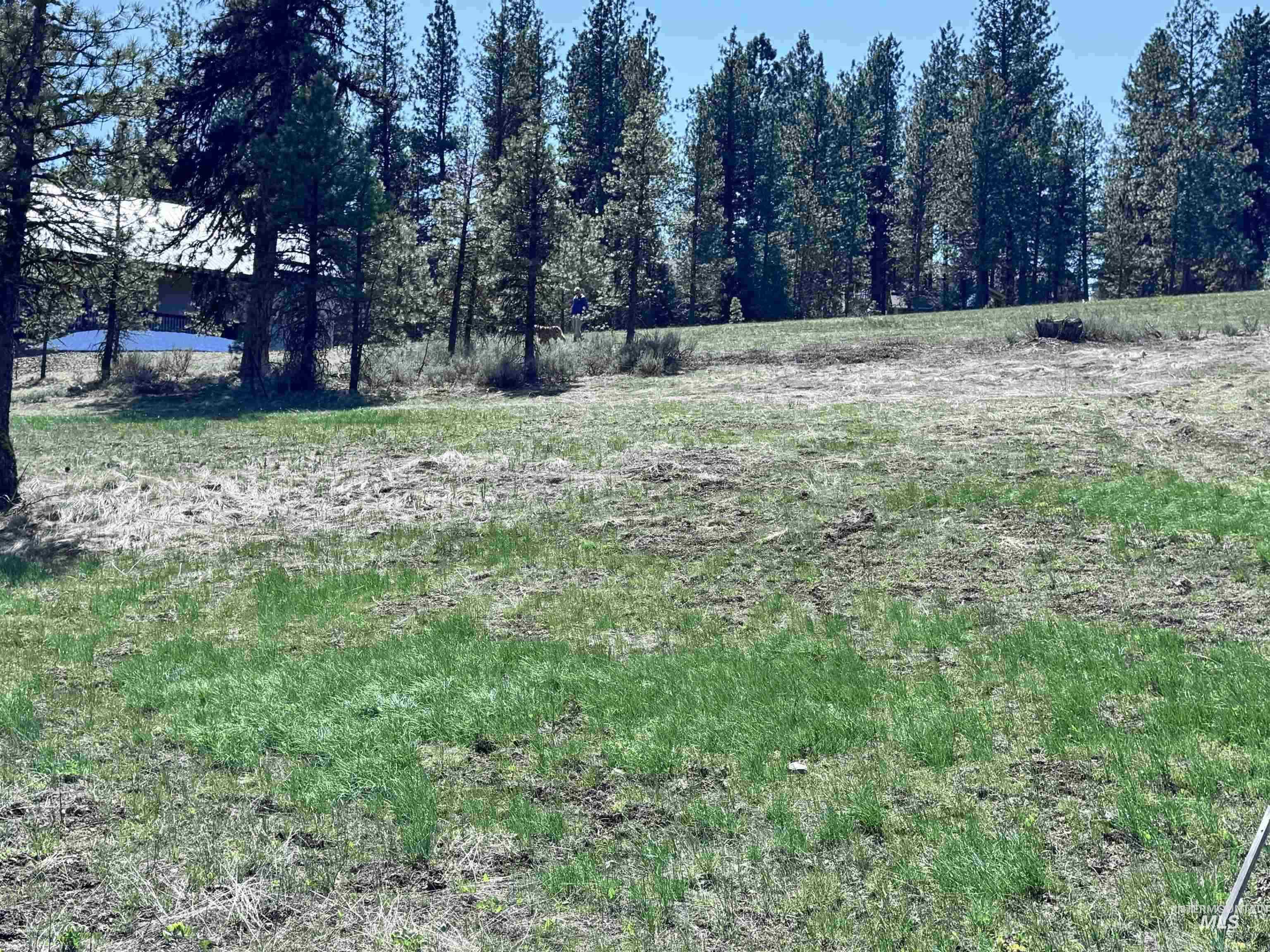 Lot 19 Hot Springs RD, New Meadows, Idaho 83654, Land For Sale, Price $68,700, 98986763