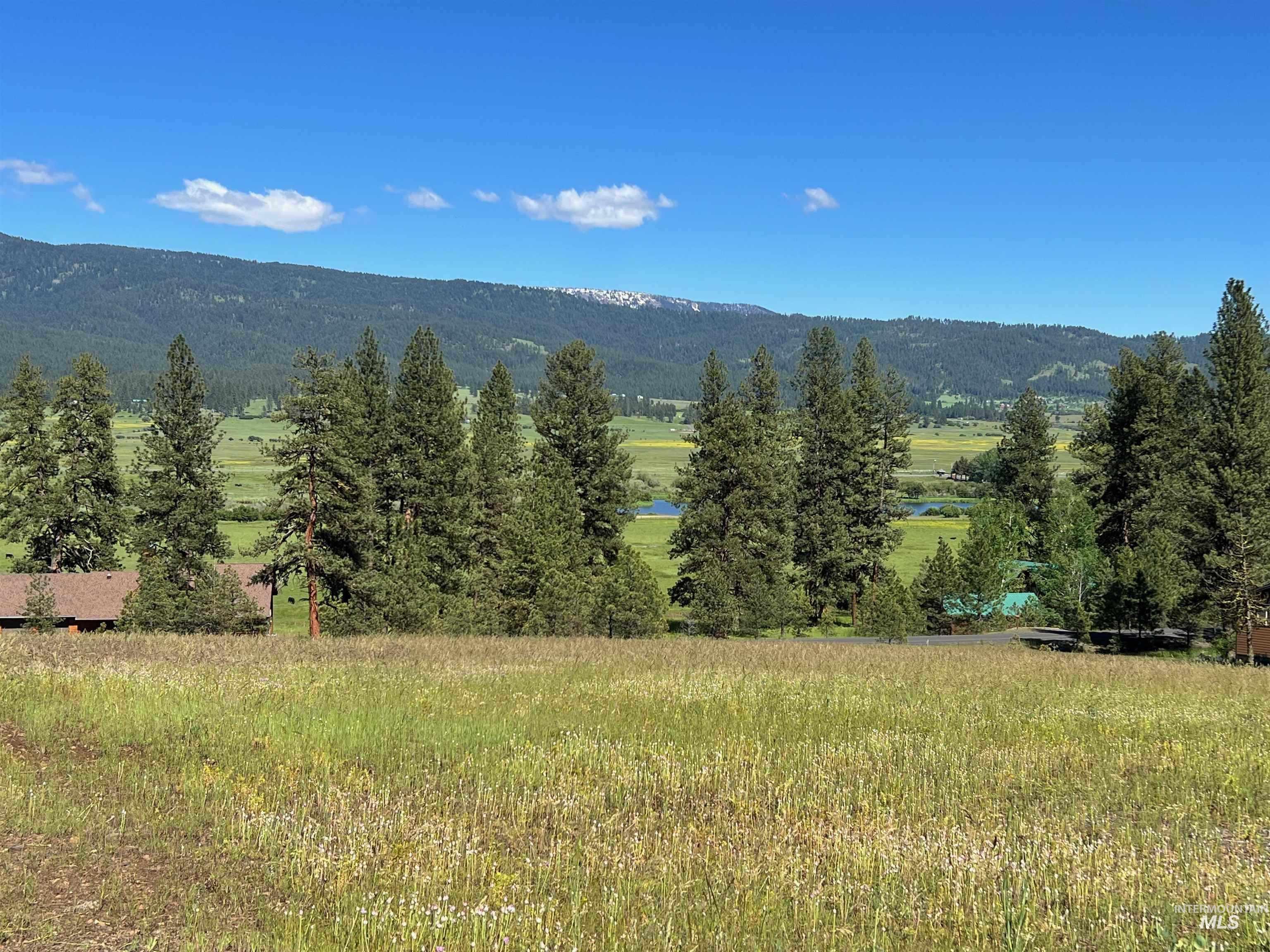 Lot 19 Hot Springs RD, New Meadows, Idaho 83654, Land For Sale, Price $68,700, 98986763