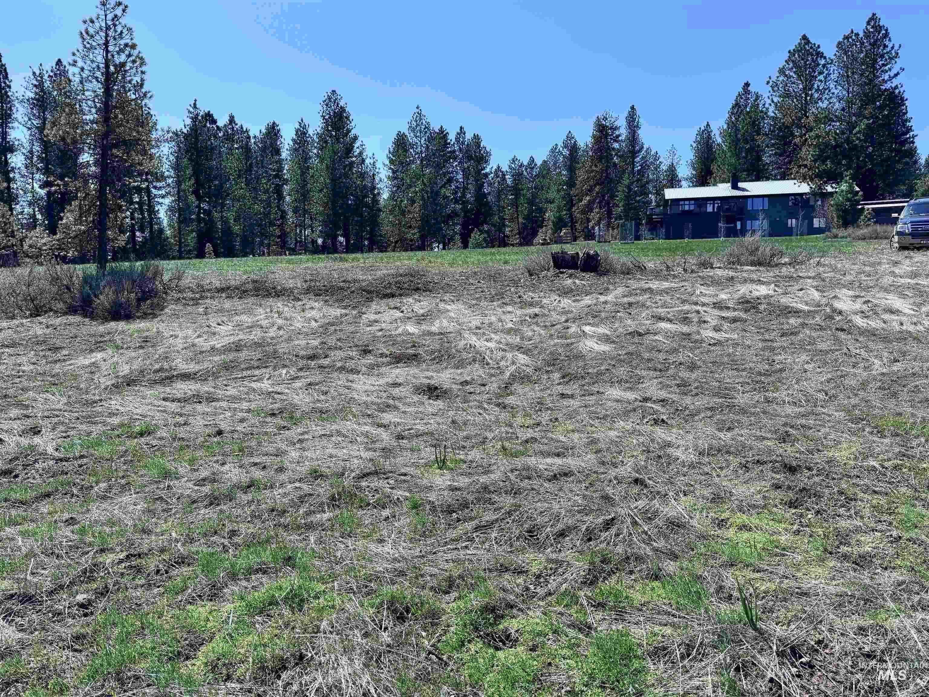Lot 19 Hot Springs RD, New Meadows, Idaho 83654, Land For Sale, Price $68,700, 98986763
