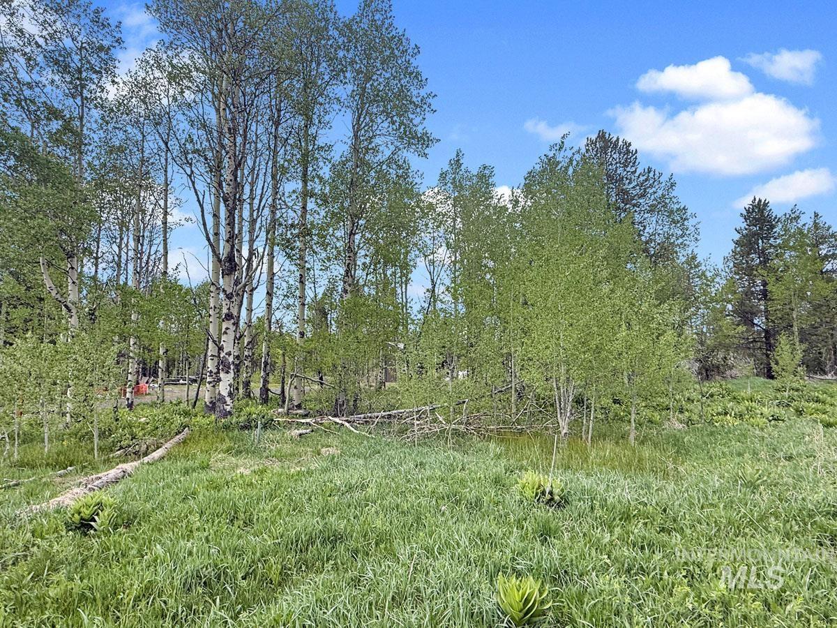 172 Heath Place, Donnelly, Idaho 83615, Land For Sale, Price $149,900, 98986817