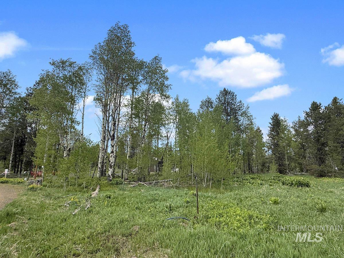 172 Heath Place, Donnelly, Idaho 83615, Land For Sale, Price $149,900, 98986817