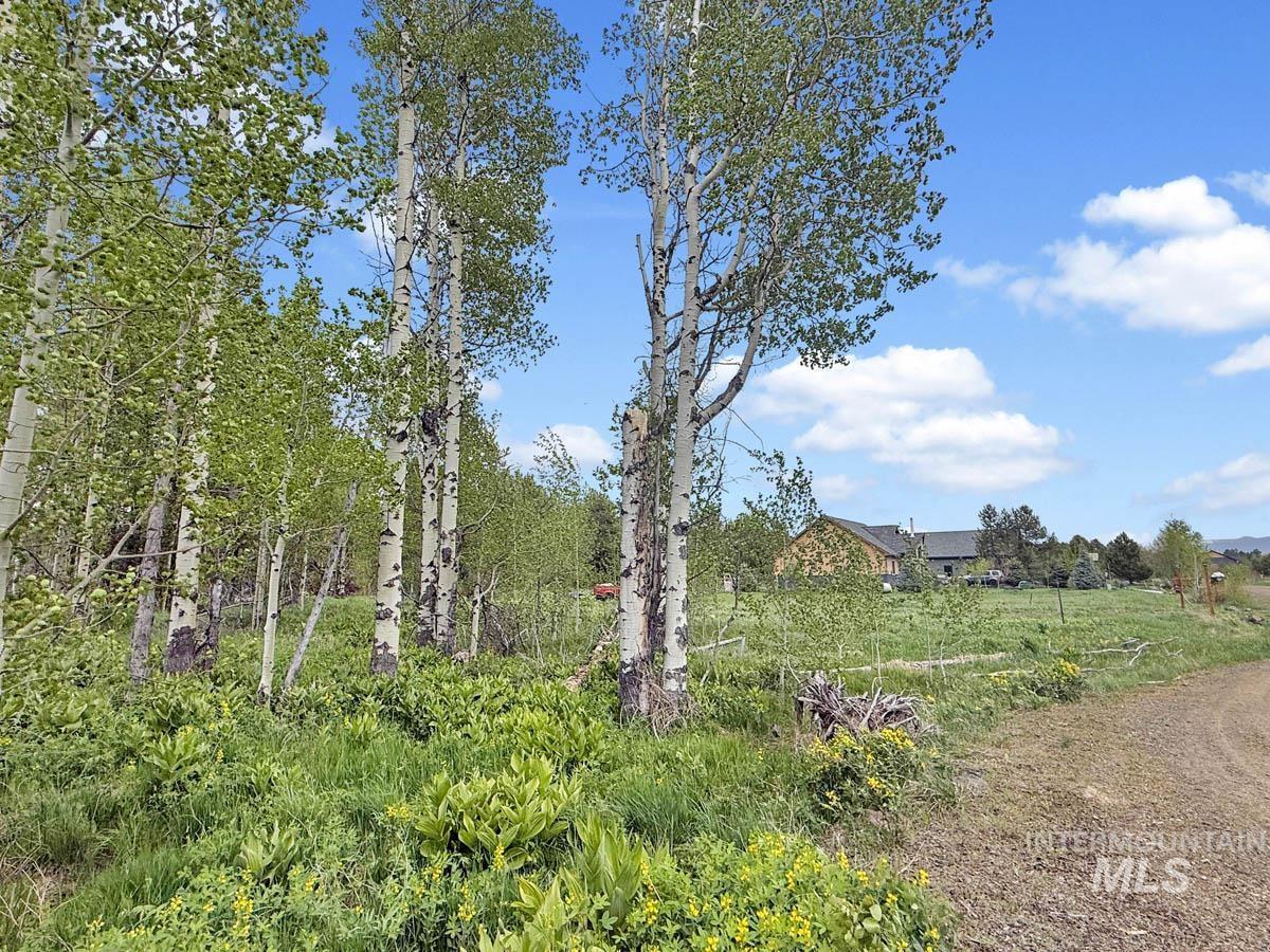 172 Heath Place, Donnelly, Idaho 83615, Land For Sale, Price $149,900, 98986817