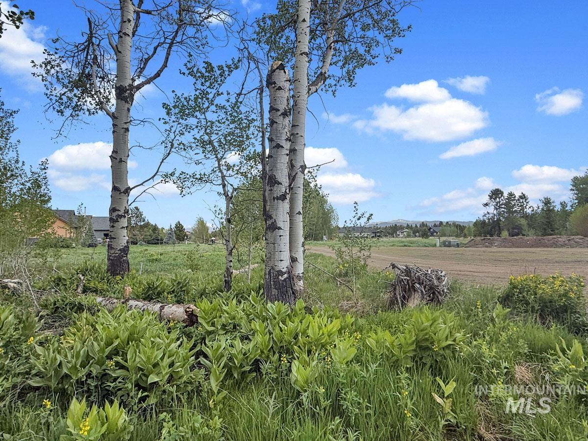 172 Heath Place, Donnelly, Idaho 83615, Land For Sale, Price $149,900, 98986817