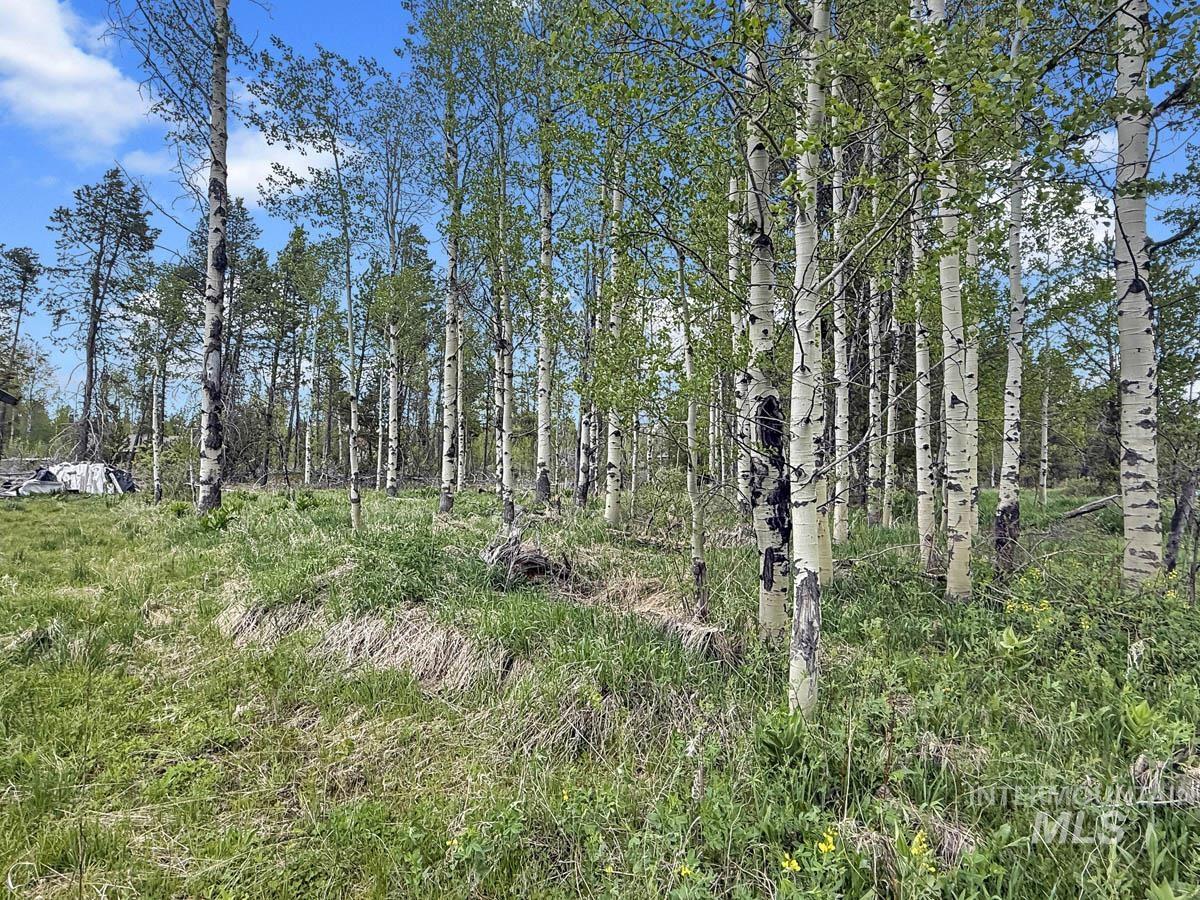 172 Heath Place, Donnelly, Idaho 83615, Land For Sale, Price $149,900, 98986817