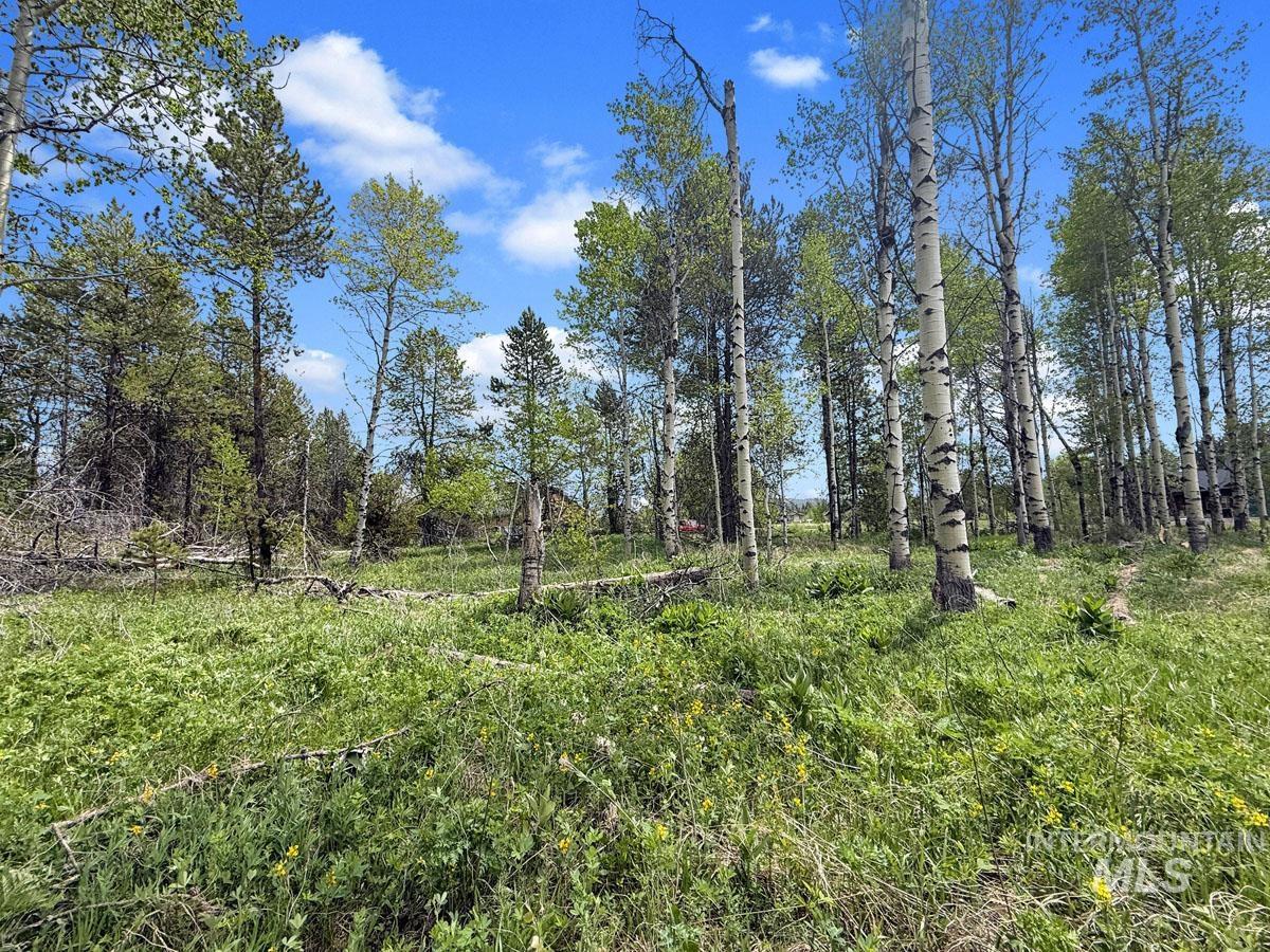 172 Heath Place, Donnelly, Idaho 83615, Land For Sale, Price $149,900, 98986817