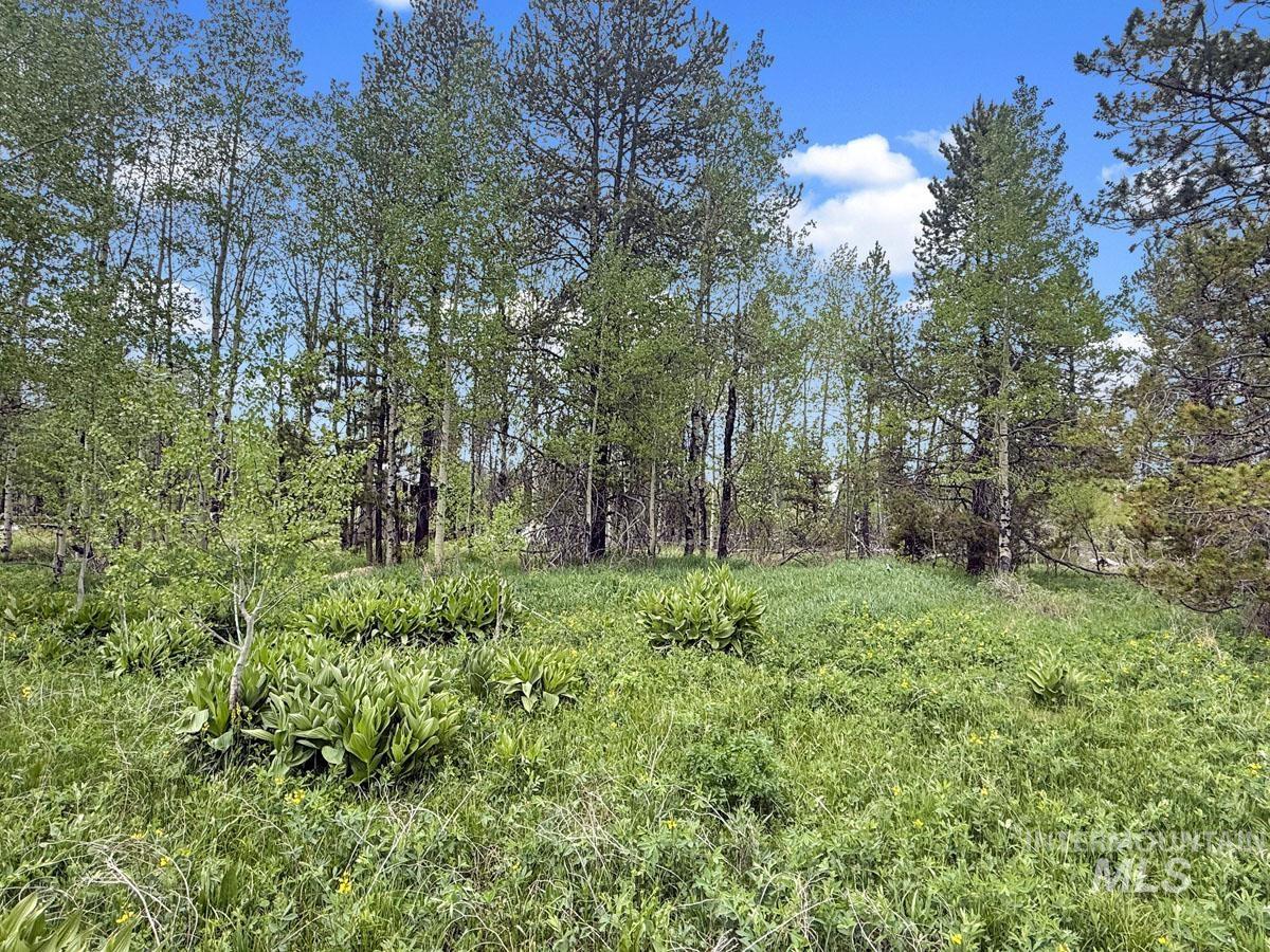 172 Heath Place, Donnelly, Idaho 83615, Land For Sale, Price $149,900, 98986817
