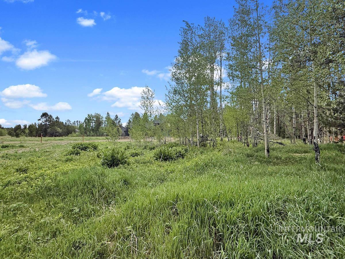 172 Heath Place, Donnelly, Idaho 83615, Land For Sale, Price $149,900, 98986817