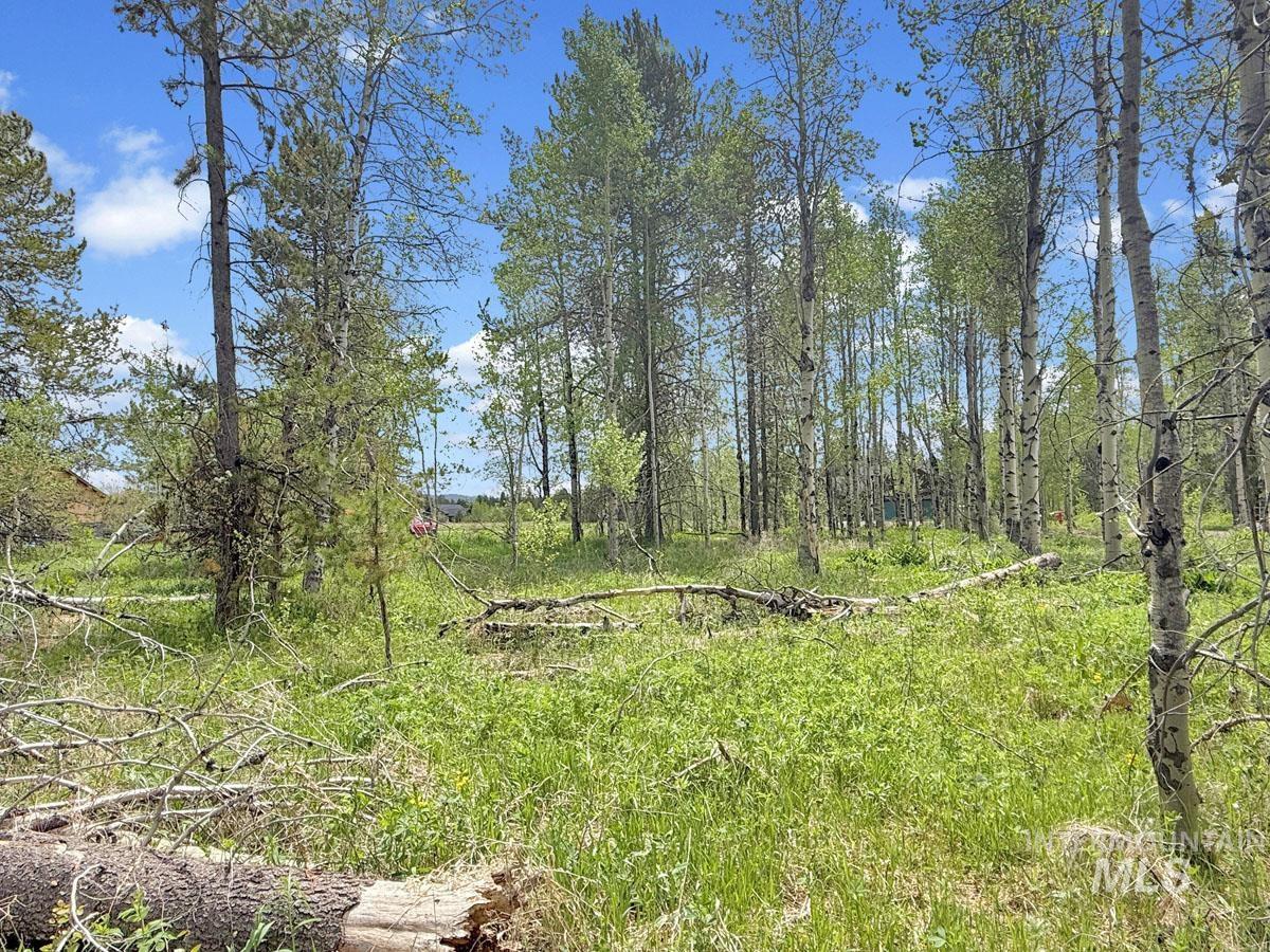 172 Heath Place, Donnelly, Idaho 83615, Land For Sale, Price $149,900, 98986817