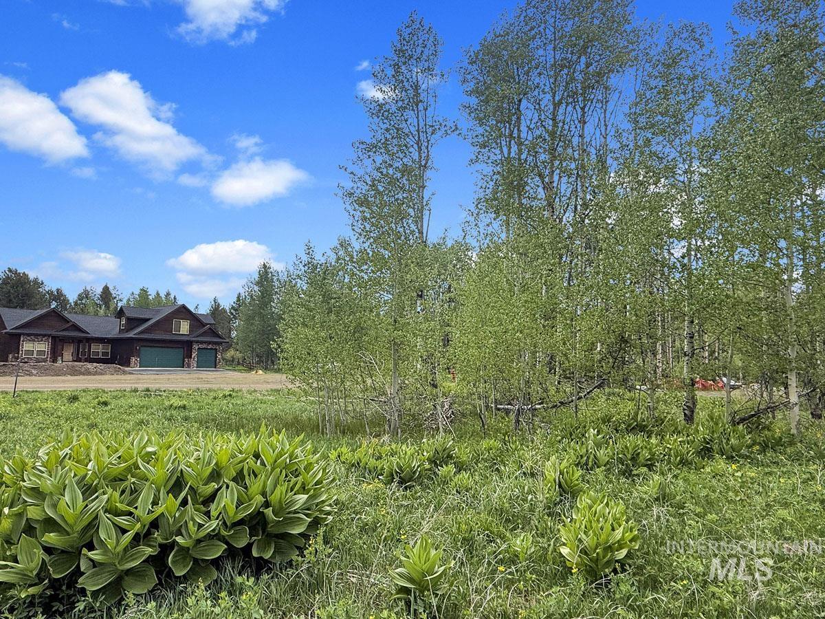 172 Heath Place, Donnelly, Idaho 83615, Land For Sale, Price $149,900, 98986817