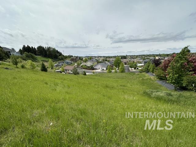 2533 Castleford St, Moscow, Idaho 83843, Land For Sale, Price $155,000, 98986852