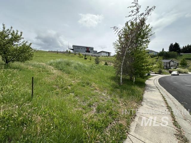 2533 Castleford St, Moscow, Idaho 83843, Land For Sale, Price $155,000, 98986852