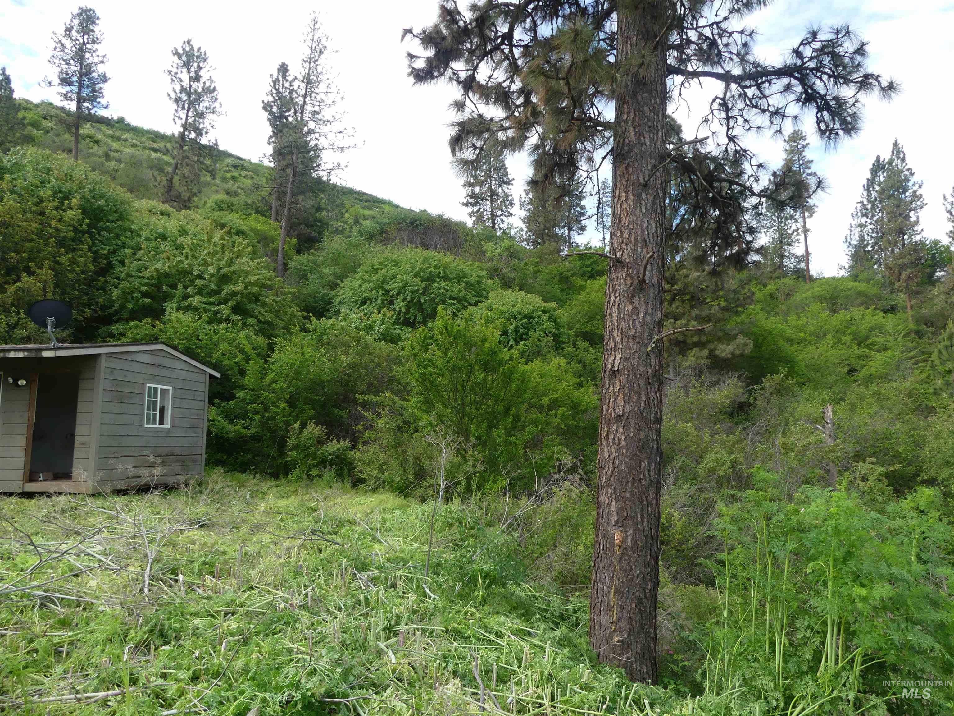 30100 Triumph, Culdesac, Idaho 83524, Land For Sale, Price $199,000, 98986867