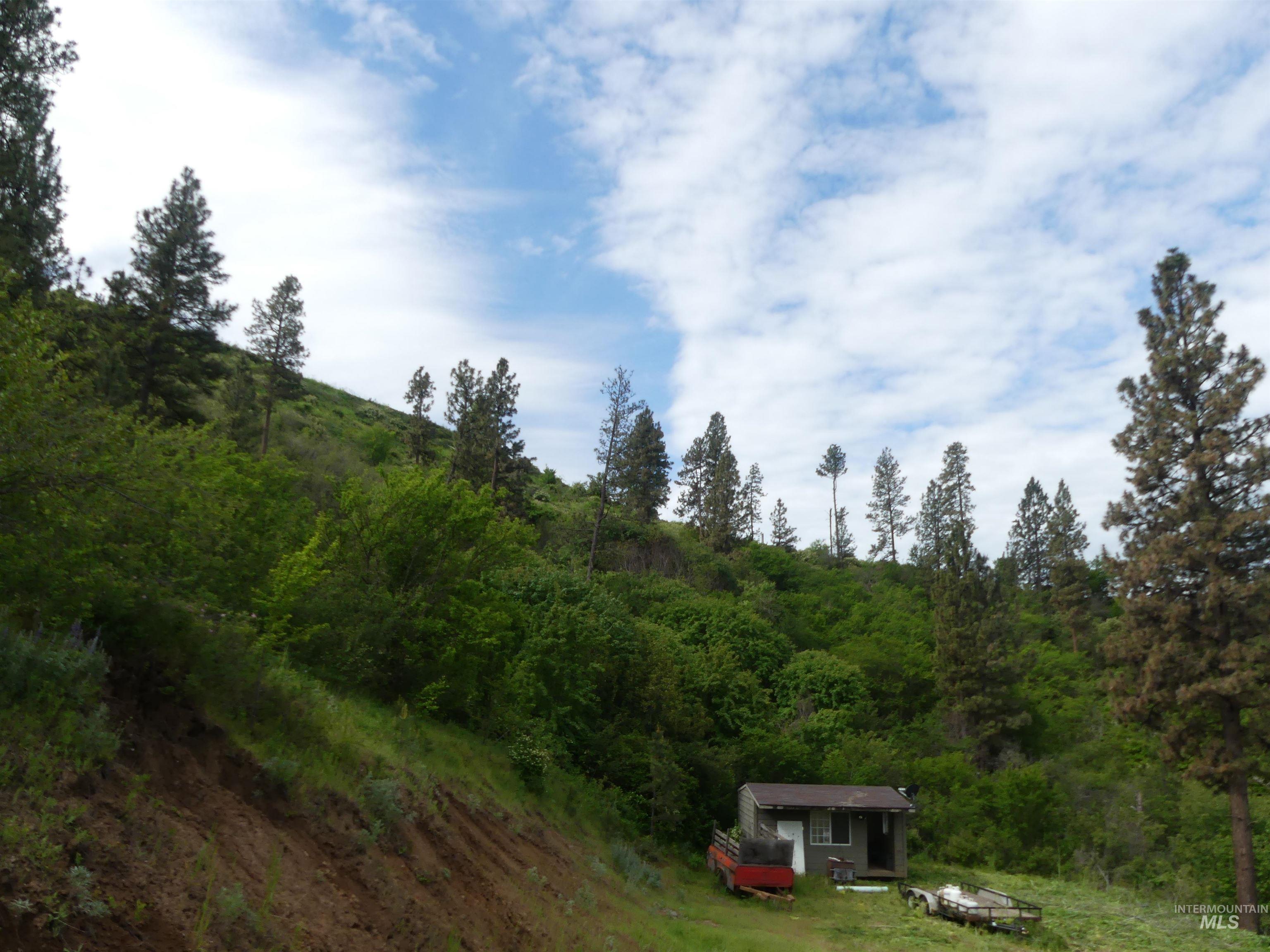 30100 Triumph, Culdesac, Idaho 83524, Land For Sale, Price $199,000, 98986867