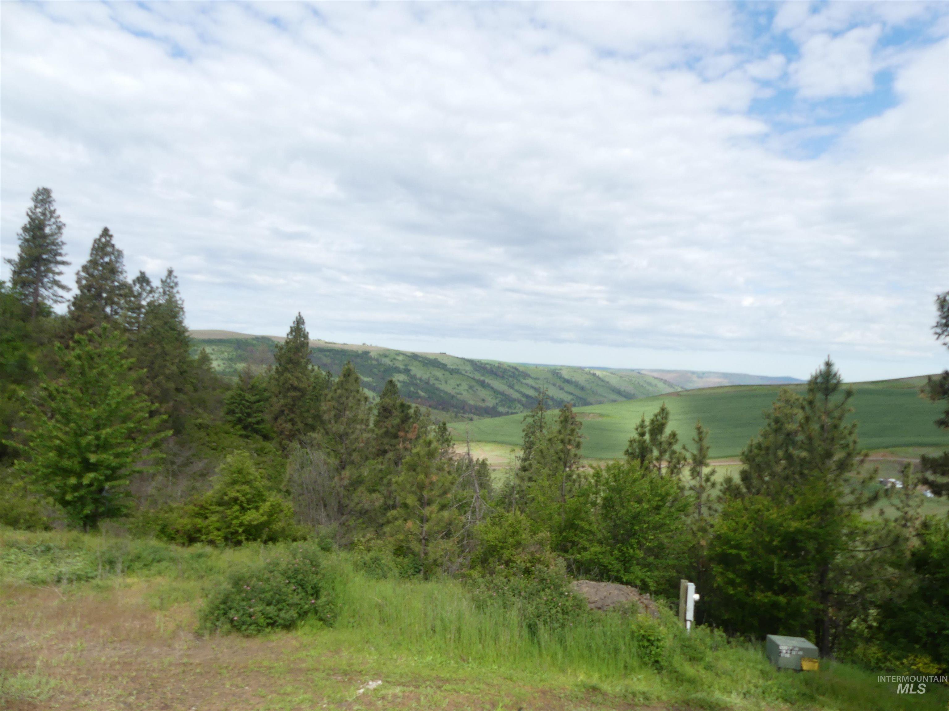 30100 Triumph, Culdesac, Idaho 83524, Land For Sale, Price $199,000, 98986867
