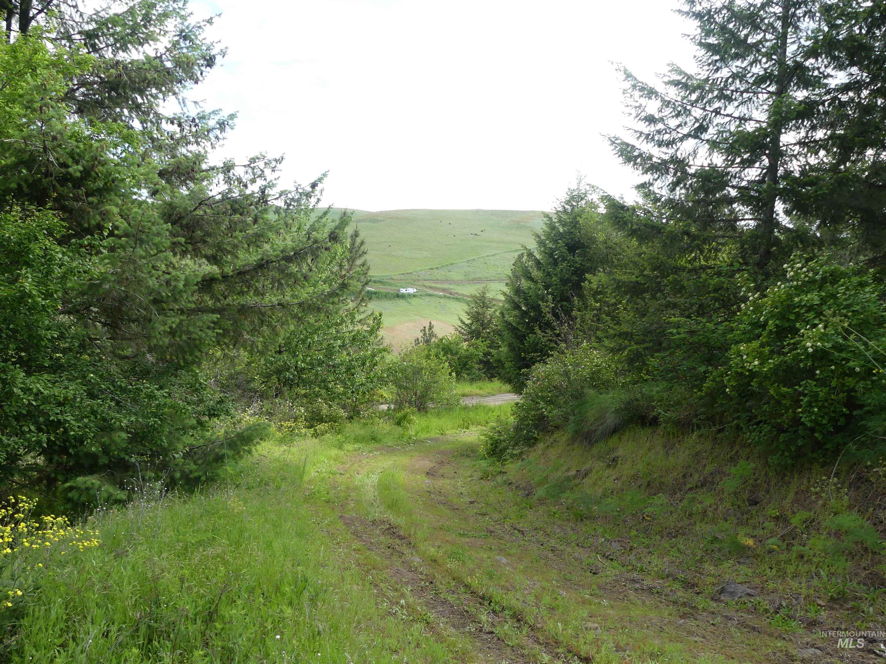 30100 Triumph, Culdesac, Idaho 83524, Land For Sale, Price $199,000, 98986867