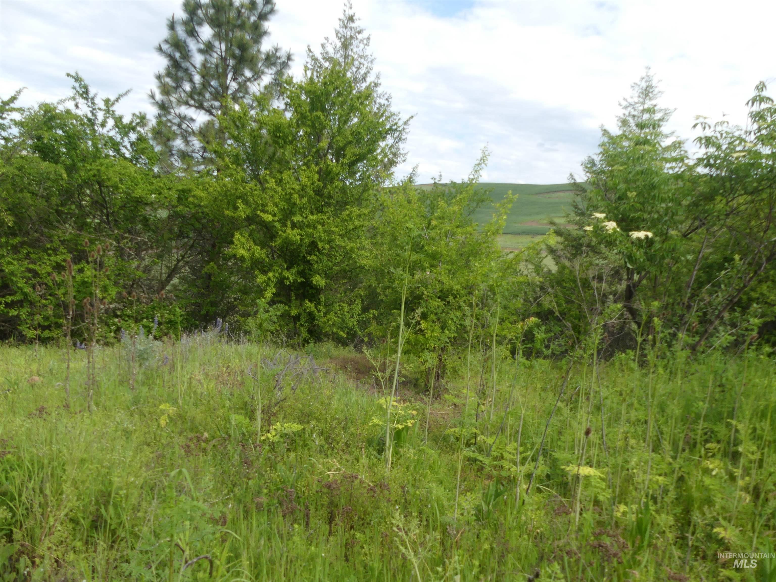 30100 Triumph, Culdesac, Idaho 83524, Land For Sale, Price $199,000, 98986867
