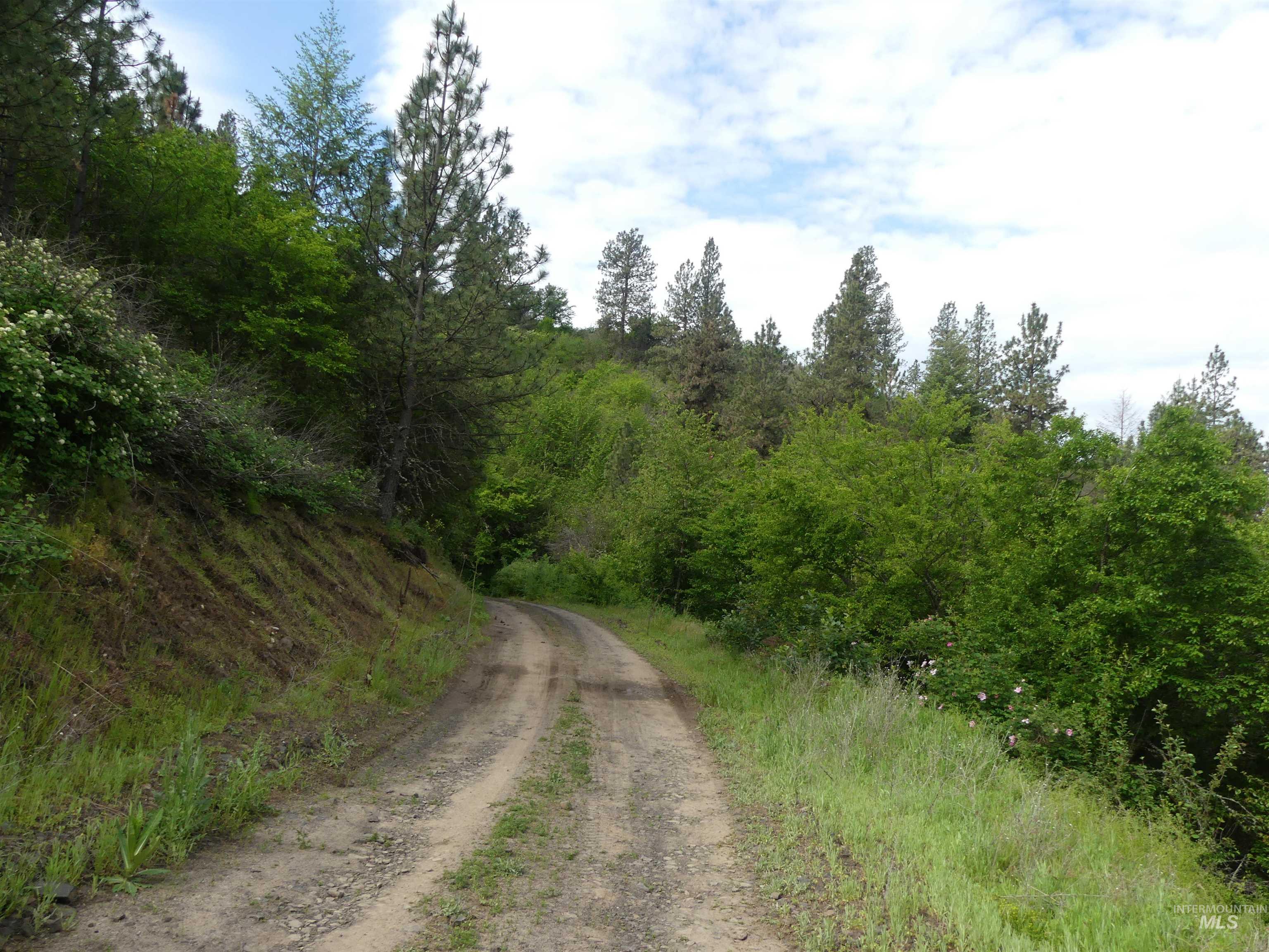 30100 Triumph, Culdesac, Idaho 83524, Land For Sale, Price $199,000, 98986867