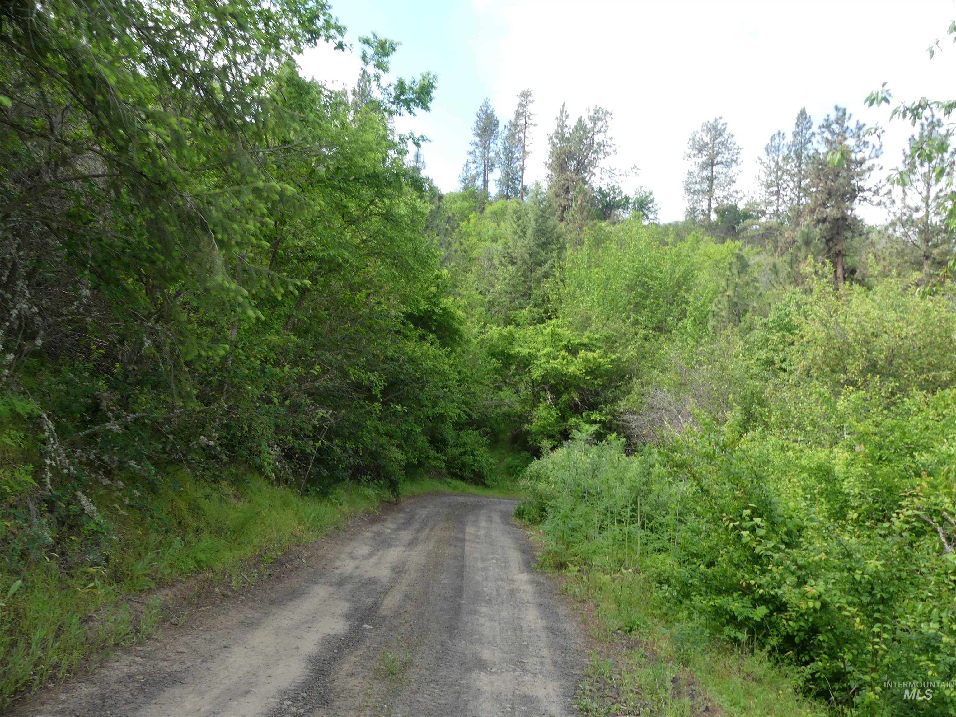 30100 Triumph, Culdesac, Idaho 83524, Land For Sale, Price $199,000, 98986867