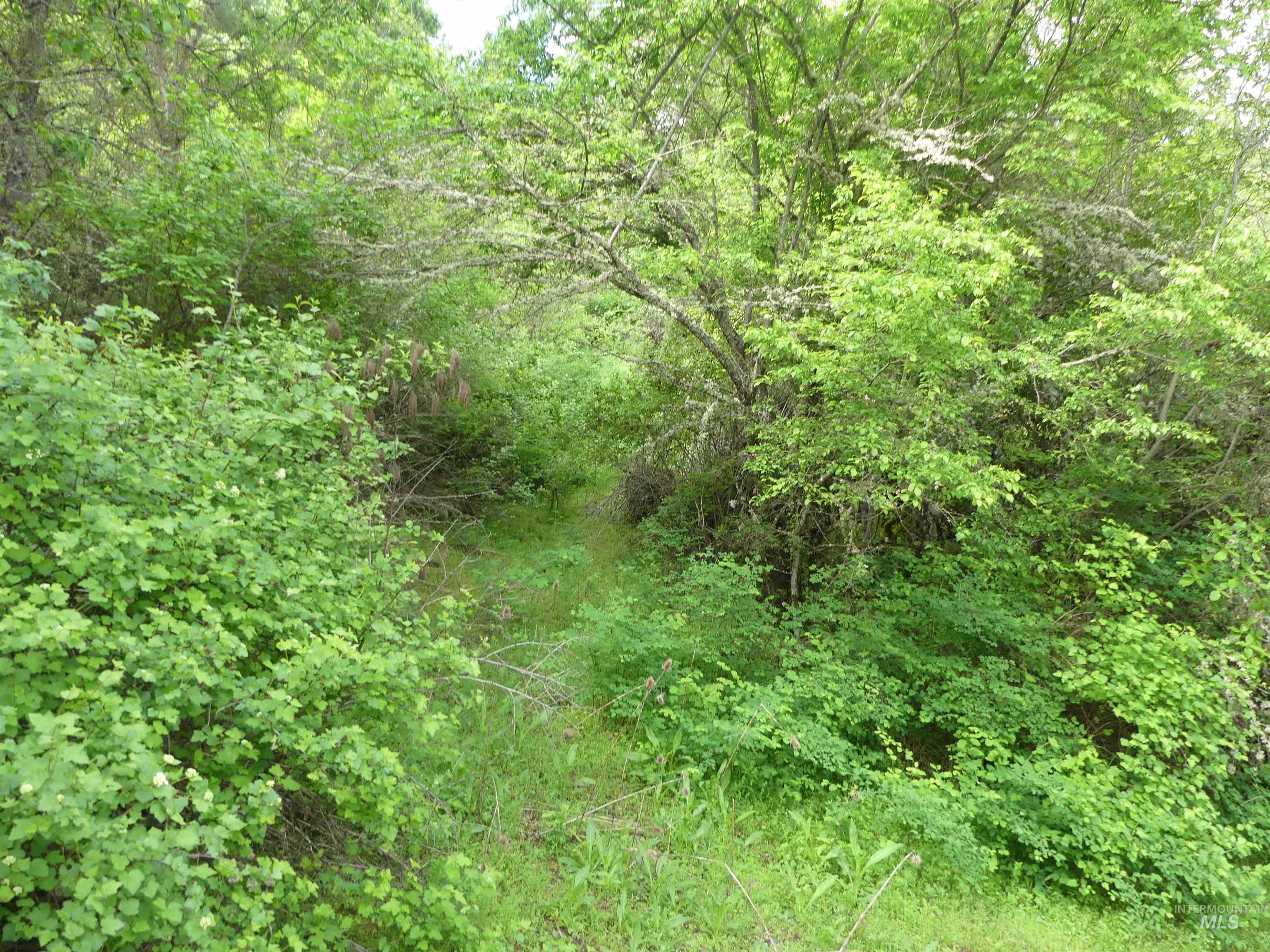 30100 Triumph, Culdesac, Idaho 83524, Land For Sale, Price $199,000, 98986867